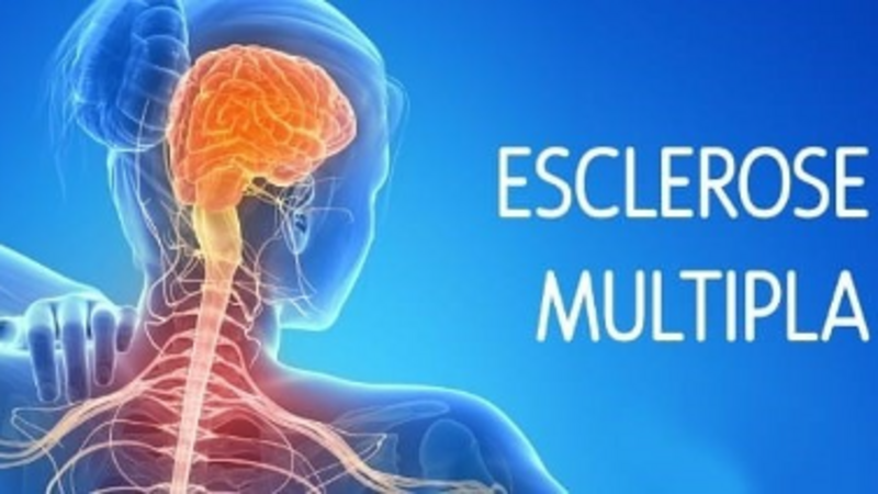 VAMOS AJUDAR? JUNTOS SOMOS MAIS