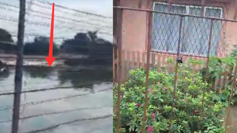 Ajuda Solidária Família Vitíma das Enchentes no RS