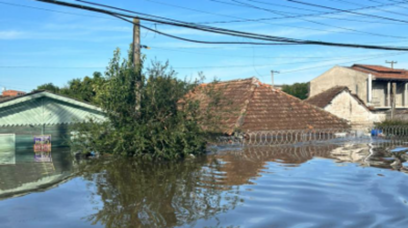 Ajude 2 famílias e 12 animais a recuperar seus lares
