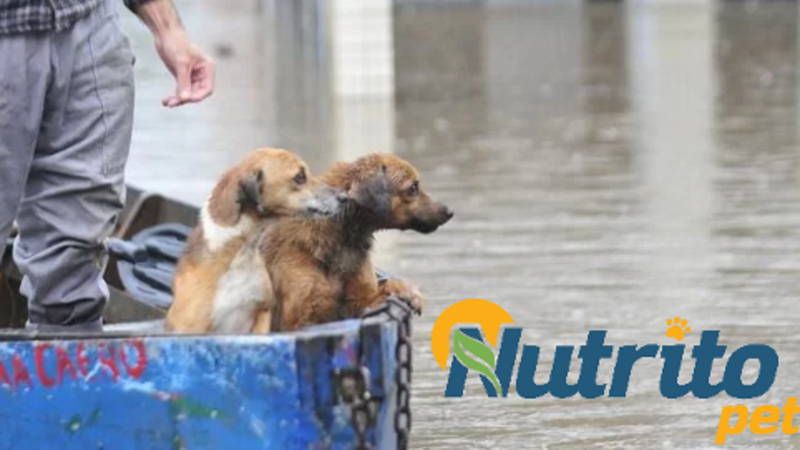 RAÇÃO PARA O RS!!!