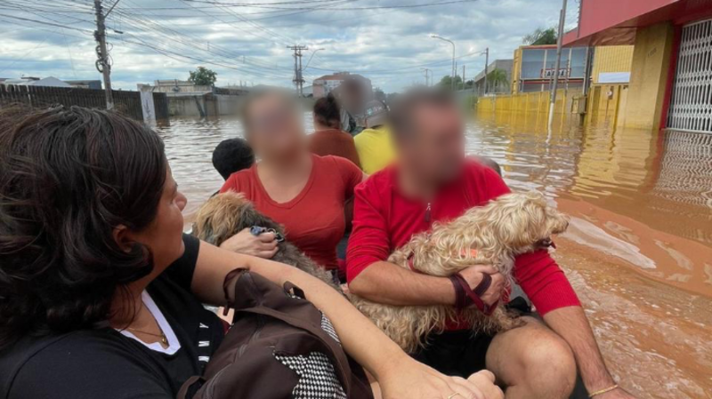 Reconstruindo do zero (mais uma vez)