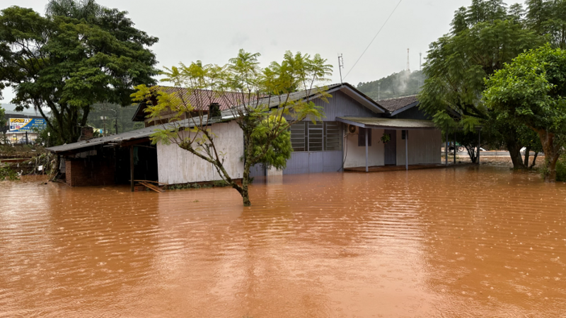 Ajude minha mãe e vó a se recuperarem da enchente no RS