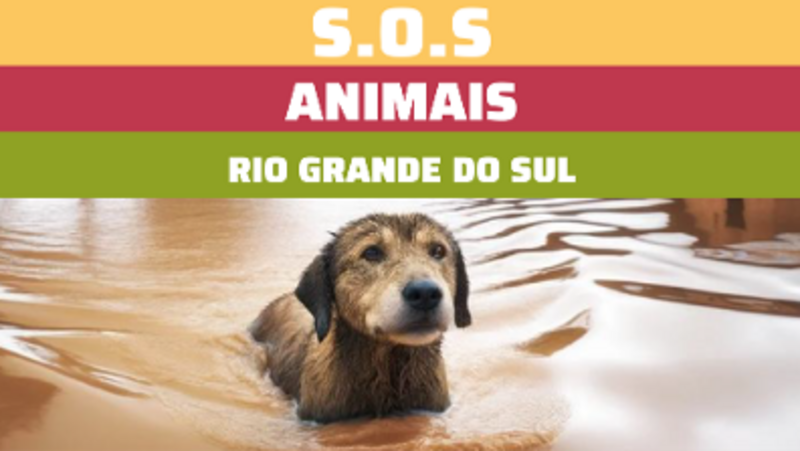 SOS Animais Rio Grande do Sul