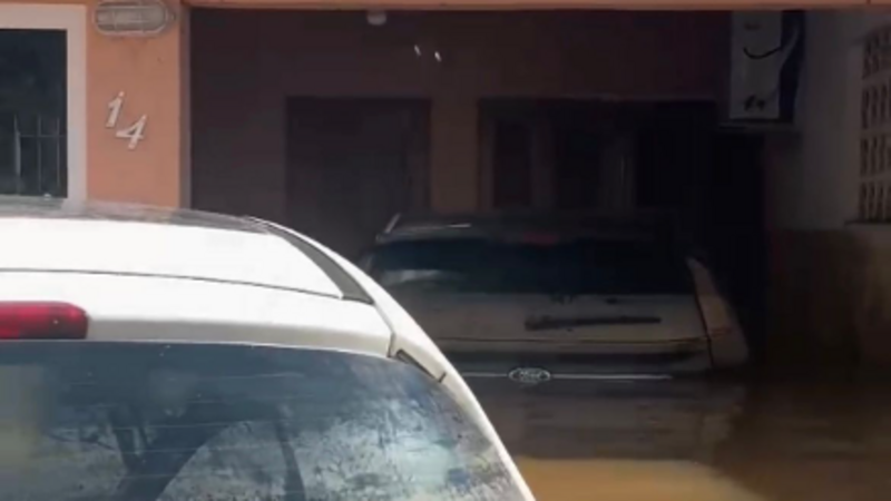 Reconstrução da Família do Alex