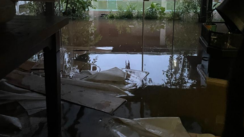 Ajuda para minha família 