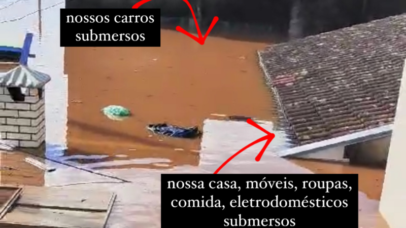 Reconstrução da Vida