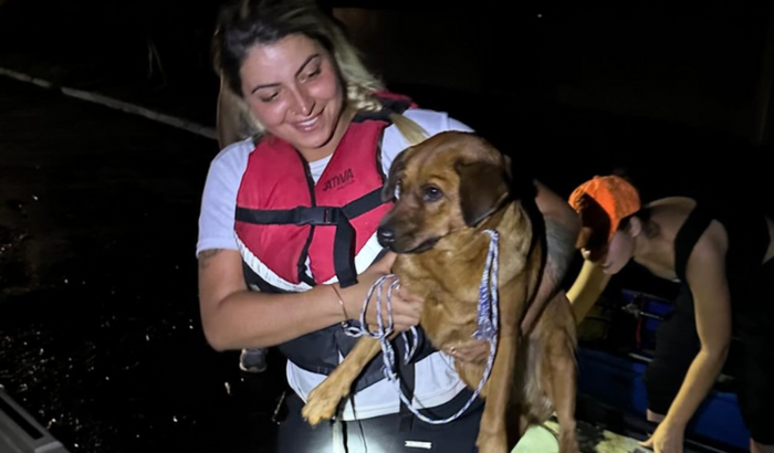 Resgate de Pets enchente Canoas
