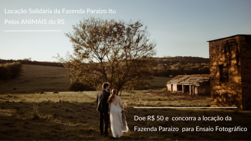 Locação para Ensaio Solidário pelos animais do RS