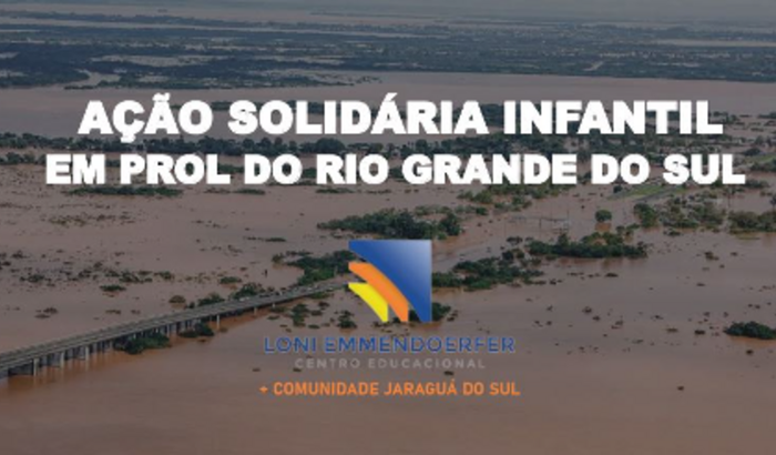 Ação Solidária RS Loni Emmendoerfer