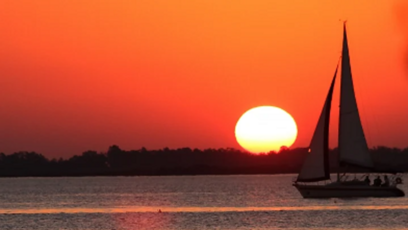 Um chamado à solidariedade por nossa colega Flávia do DTP