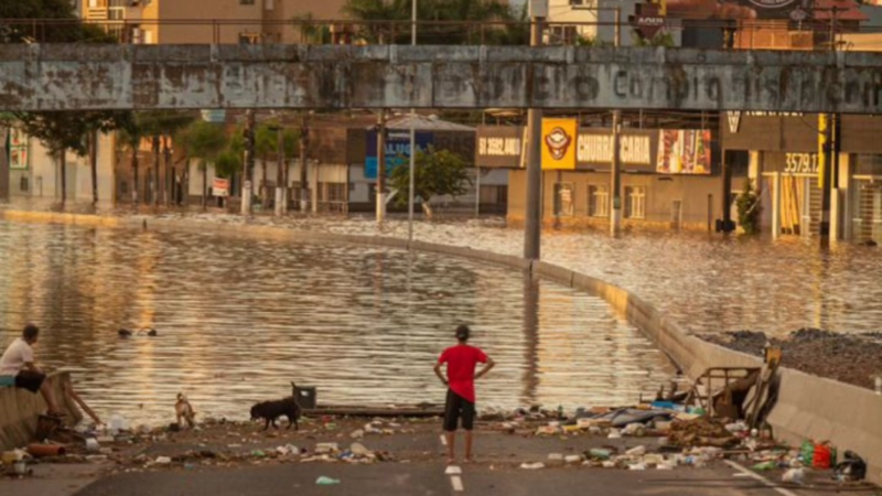 Vaquinha Família Roggen 