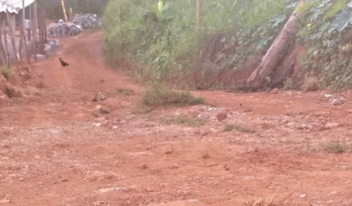 Mão de obra para calçamento do beco que pertence a Rua chácara do Coqueiro _ Cidade Nova