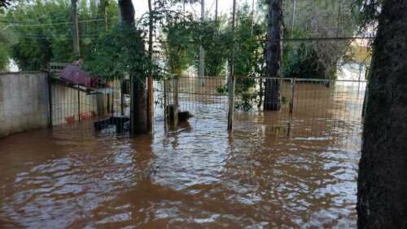 Ajude-nos a Reconstruir Nossa Casa