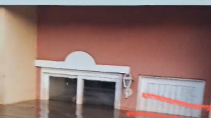 Ajude a Andressa e sua família