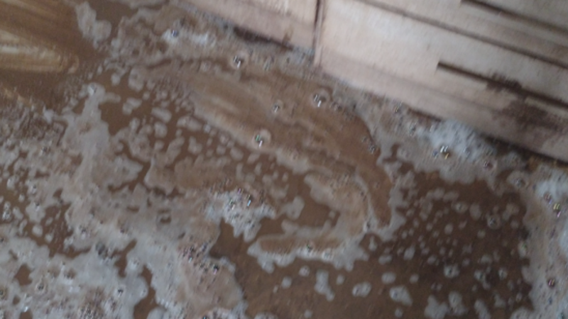 Ajuda perdemos tudo na enchente em Eldorado do Sul 