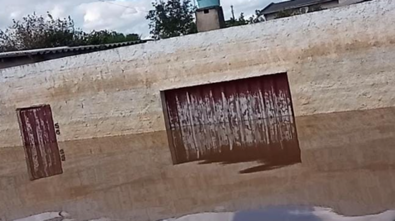 SOS - Vaquinha da Elenara