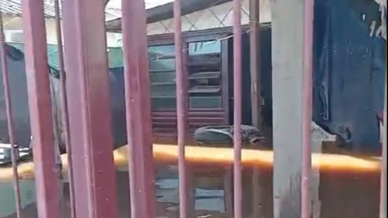 Ajude minha mãe a recomeçar 