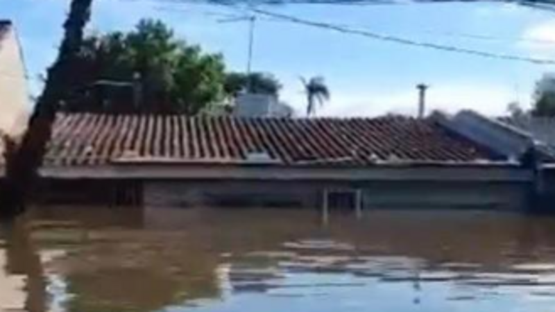 Novo Ciclo da Família Dias