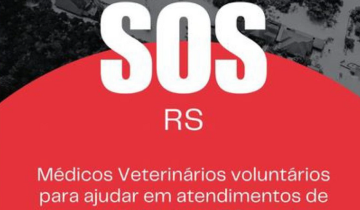 Mutirão de Procedimentos em RS - Veterinários de Curitiba