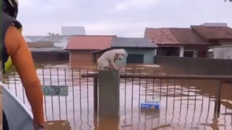 Ajuda para retomar a vida da nossa família