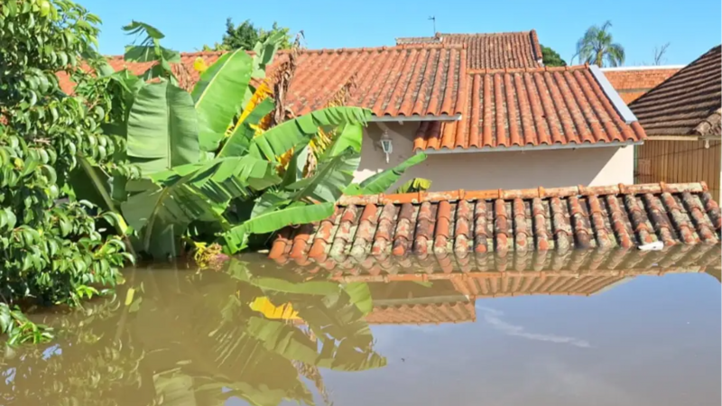 Juntos vamos reconstruir 