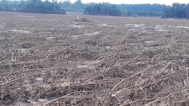 Ajude os pequenos produtores rurais de Lajeado e Estrela - RS 