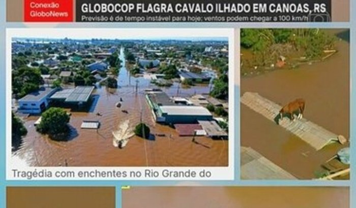 TRAGÉDIAS RS/SAUDE/ PETS/PESSOAS VALEM MAIS QUE COISAS