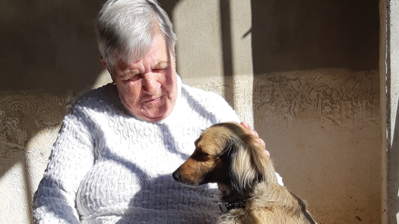 Ajuda para Dona Iolanda 