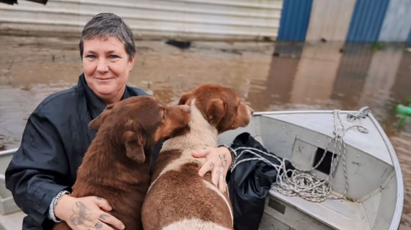 AJUDE NOS RESGATES DE ANIMAIS NO SUL