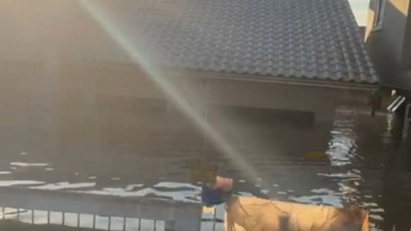 Reconstruir nossa casa e local de trabalho da Adriana