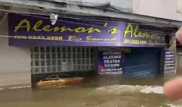 Ajude na reconstrução da ALEMONS 