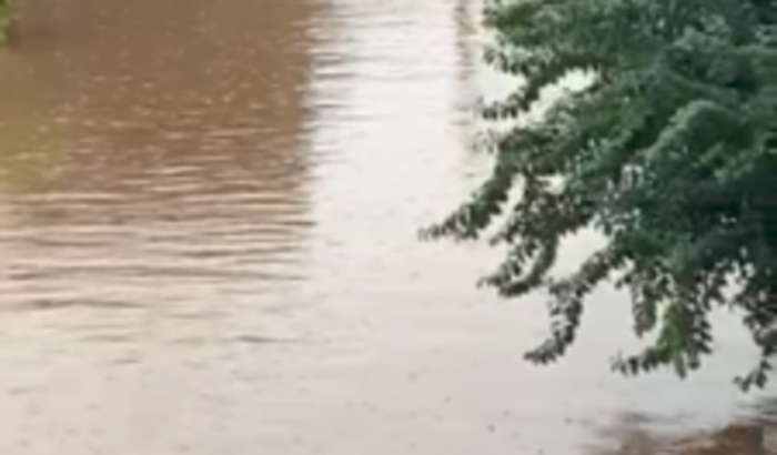 Ajuda solidária ao RS urgente