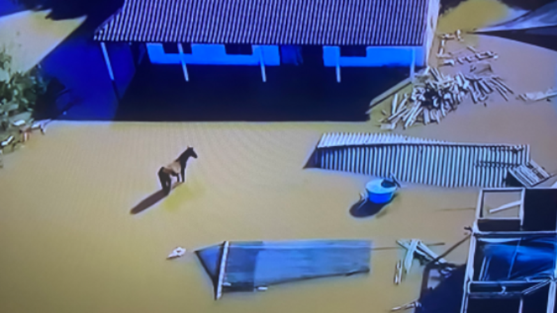 Ajude quem perdeu na ENCHENTE (ENCERRADA)