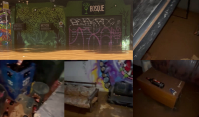 AJUDE O BOSQUE A RECOMEÇAR