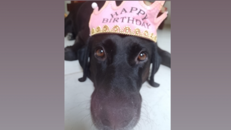 Vaquinha de aniversário - ajuda RS