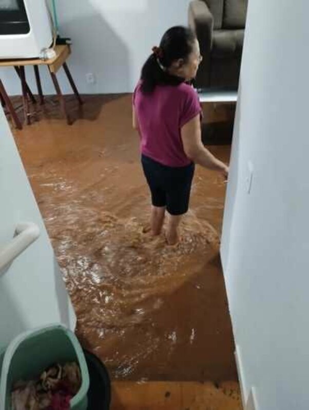 Ajude a Dona Lena: Enchente RS 2024