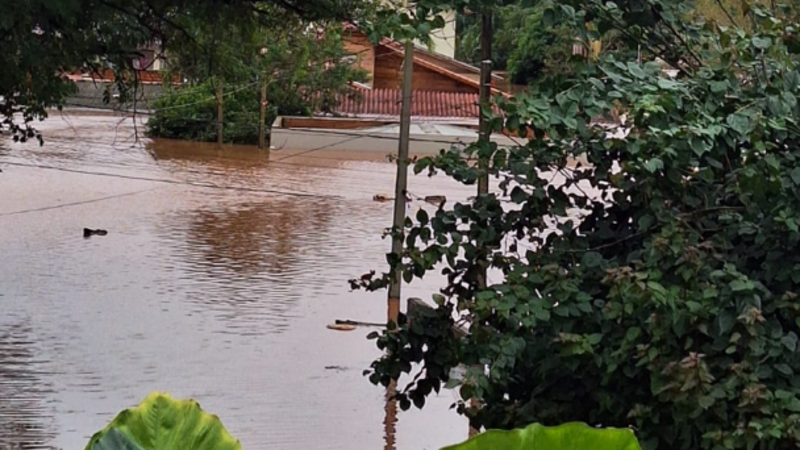 RECONSTRUINDO pós enchente - Nisete Pimentel