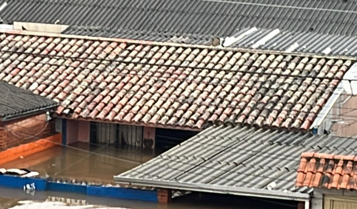 Ajude o José e a Vivi a se reeguerem!