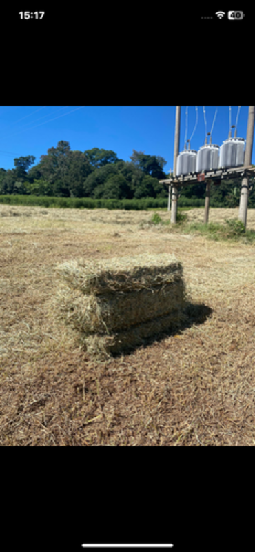 Doaçao de feno para os animais atingidos pelas enchentes no RS 