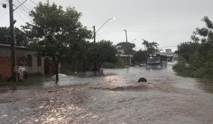 Fraldas, água, panos de chão, vassoura e rodo.