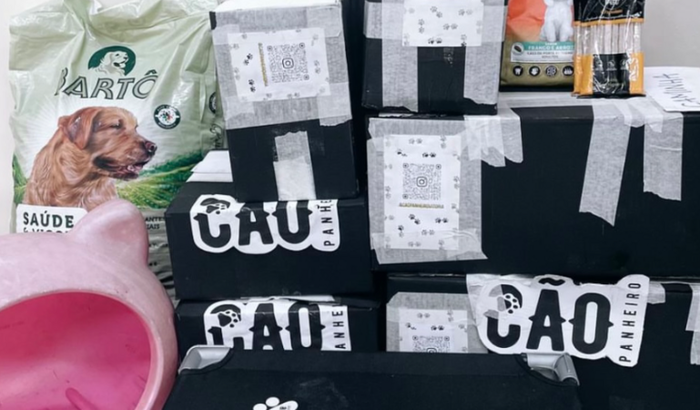 Cãopanheiro em Ação: Ajude ONGs de Animais em Necessidade🐾