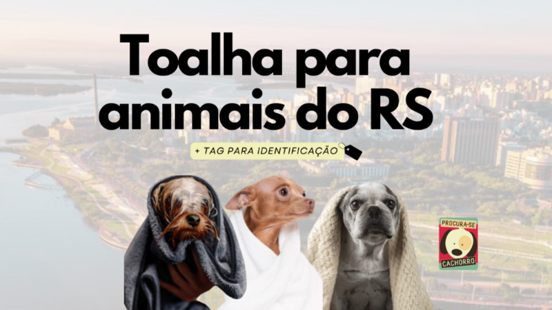 Toalhas para animais do RS