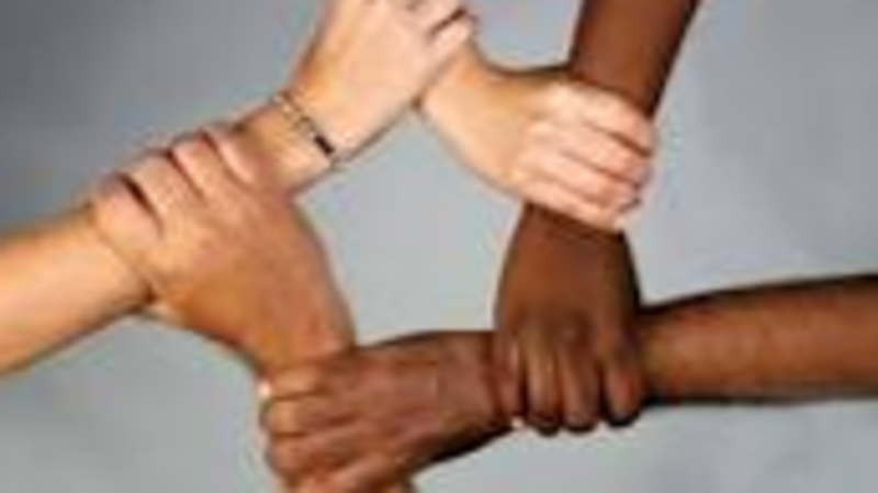 Ajude os funcionarios da Alisul