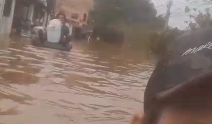 Reconstruir o nosso ganha pão. E dar de volta adignidade 