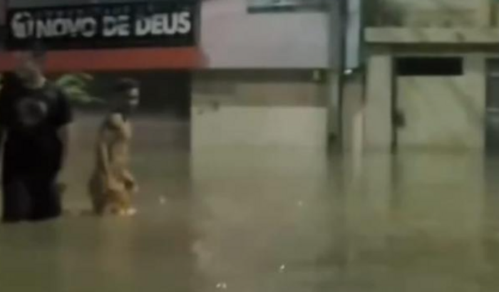 Ajude na Reconstrução da Novo de Deus