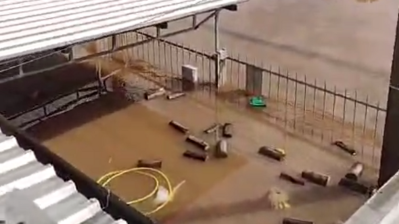 Reconstrução da minha casa 