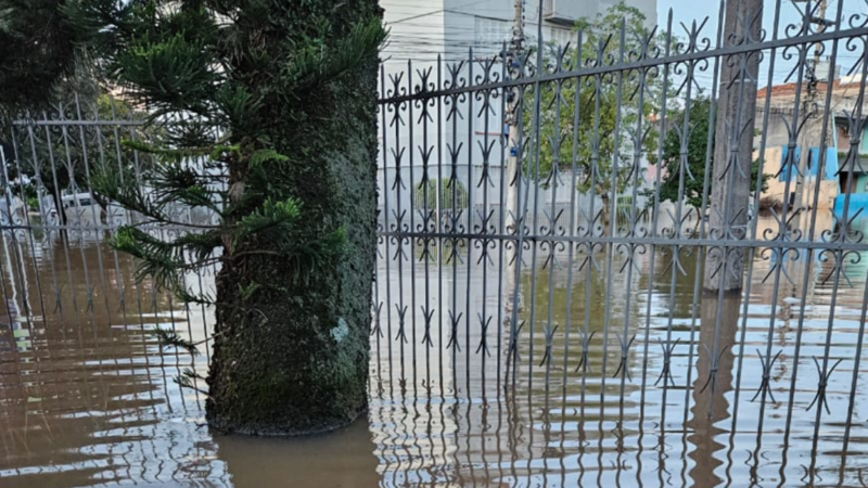 Lar das Marias, uma campanha de amor e reconstrução 