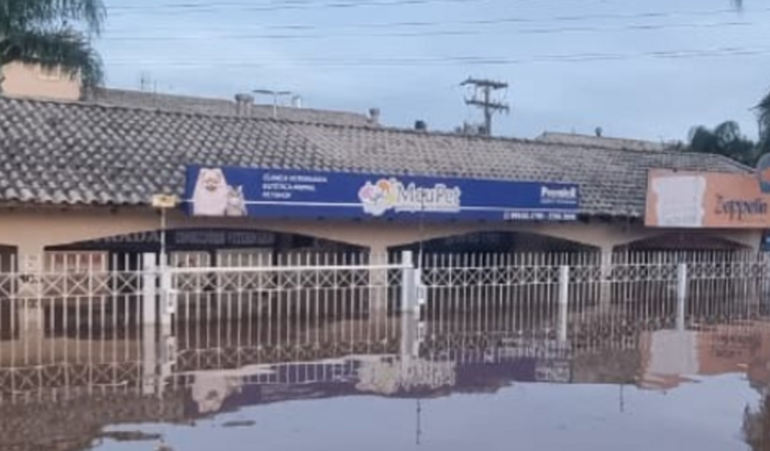 Pet Shop Devastada Pela Enchente do RS