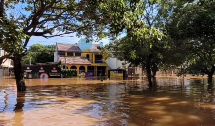 Ajude a reconstruir a Bom Pra Cachorro