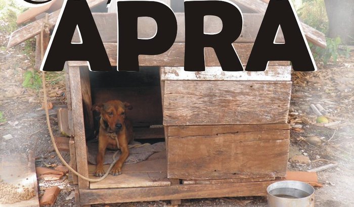 1º Bingo - APRA
